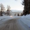 27 coppa dalla favera_28